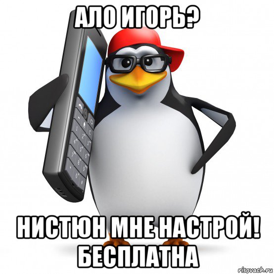 ало игорь? нистюн мне настрой! бесплатна, Мем   Пингвин звонит