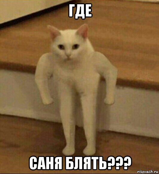 где саня блять???