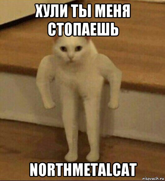 хули ты меня стопаешь northmetalcat, Мем  Полукот