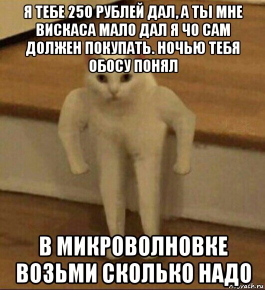 я тебе 250 рублей дал, а ты мне вискаса мало дал я чо сам должен покупать. ночью тебя обосу понял в микроволновке возьми сколько надо, Мем  Полукот