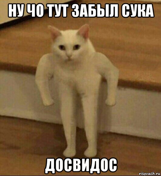 ну чо тут забыл сука досвидос, Мем  Полукот