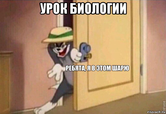 урок биологии 