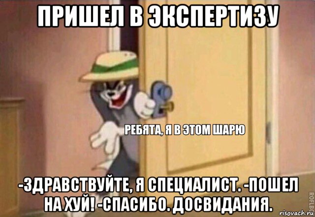 пришел в экспертизу -здравствуйте, я специалист. -пошел на хуй! -спасибо. досвидания.