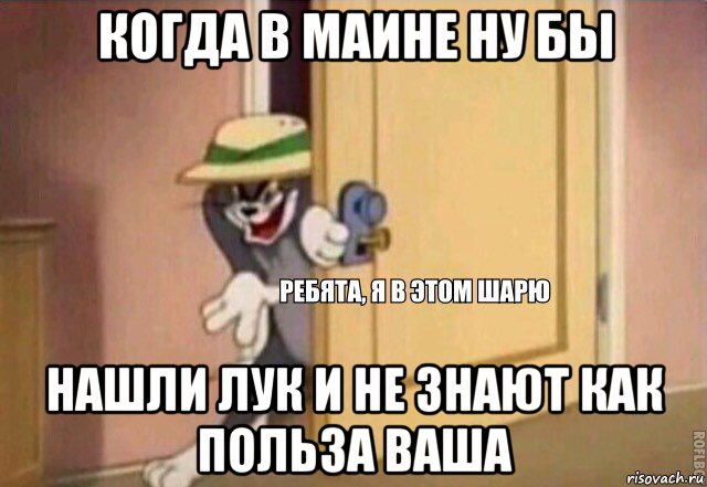 когда в маине ну бы нашли лук и не знают как польза ваша, Мем    Ребята я в этом шарю