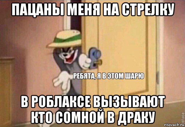 пацаны меня на стрелку в роблаксе вызывают кто сомной в драку, Мем    Ребята я в этом шарю