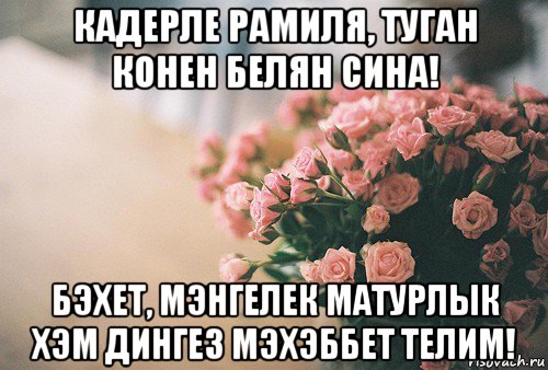 кадерле рамиля, туган конен белян сина! бэхет, мэнгелек матурлык хэм дингез мэхэббет телим!