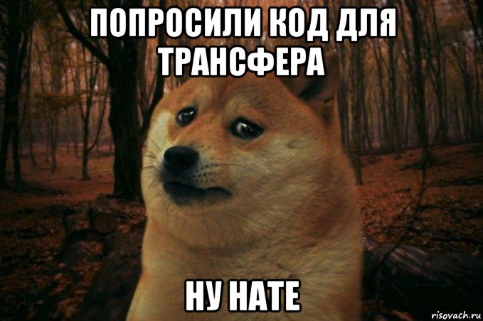 попросили код для трансфера ну нате, Мем SAD DOGE