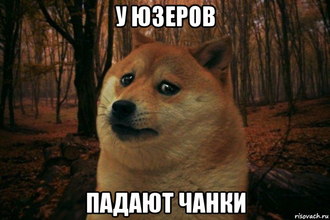 у юзеров падают чанки, Мем SAD DOGE