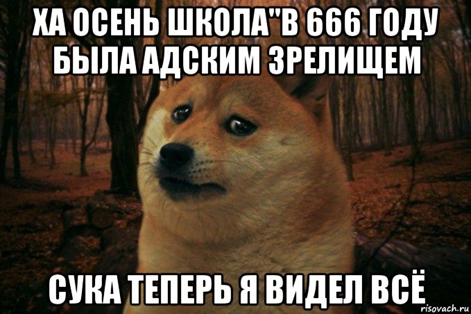 ха осень школа"в 666 году была адским зрелищем сука теперь я видел всё, Мем SAD DOGE