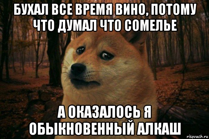 бухал все время вино, потому что думал что сомелье а оказалось я обыкновенный алкаш