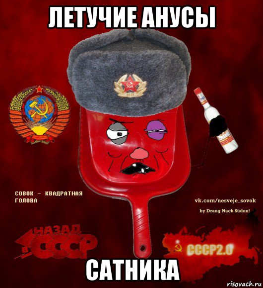 летучие анусы сатника