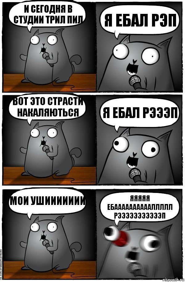 И сегодня в студии трил пил Я ЕБАЛ РЭП вот это страсти накаляються Я ЕБАЛ РЭЭЭП МОИ УШИИИИИИИ ЯЯЯЯЯ ЕБААААААААААЛЛЛЛЛ РЭЭЭЭЭЭЭЭЭЭЭП, Комикс  Стендап-кот