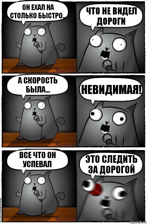 Он ехал на столько быстро… Что не видел дороги А скорость была… Невидимая! Все что он успевал Это следить за дорогой, Комикс  Стендап-кот