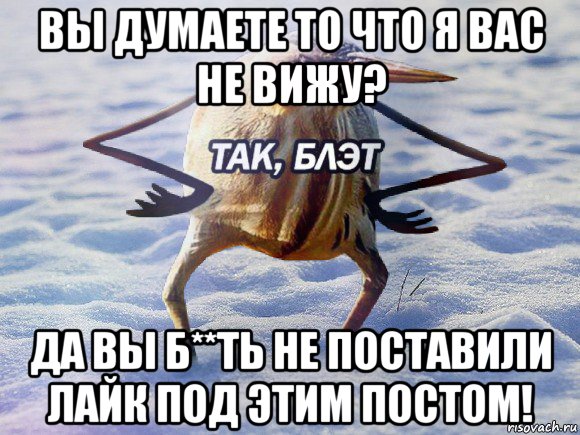 вы думаете то что я вас не вижу? да вы б**ть не поставили лайк под этим постом!, Мем  Так блэт птица с руками