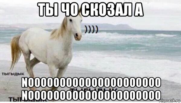 ты чо скозал а nooooooooooooooooooooo nooooooooooooooooooooo