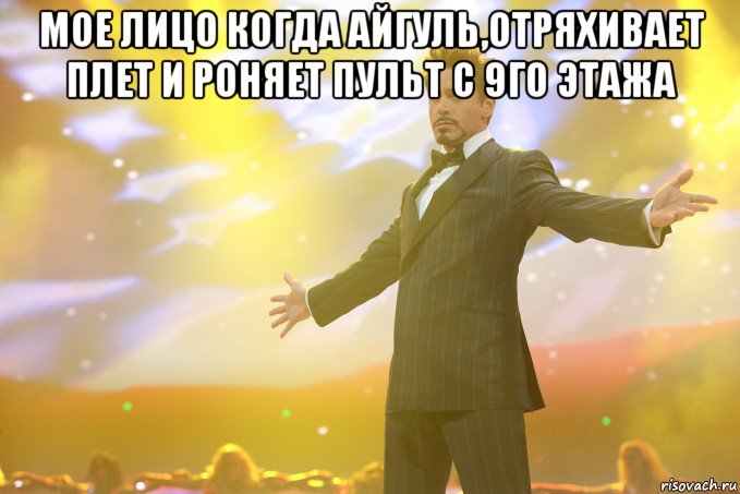 мое лицо когда айгуль,отряхивает плет и роняет пульт с 9го этажа , Мем Тони Старк (Роберт Дауни младший)