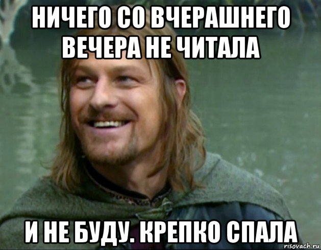 ничего со вчерашнего вечера не читала и не буду. крепко спала, Мем Тролль Боромир