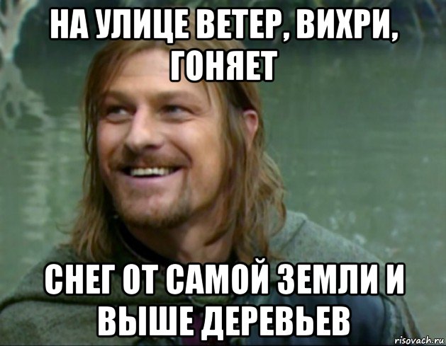 на улице ветер, вихри, гоняет снег от самой земли и выше деревьев, Мем Тролль Боромир