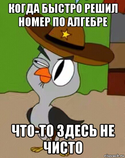 когда быстро решил номер по алгебре что-то здесь не чисто, Мем    Упоротая сова