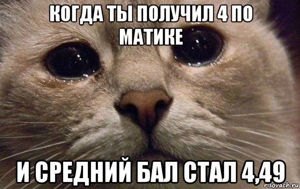 когда ты получил 4 по матике и средний бал стал 4,49, Мем   В мире грустит один котик