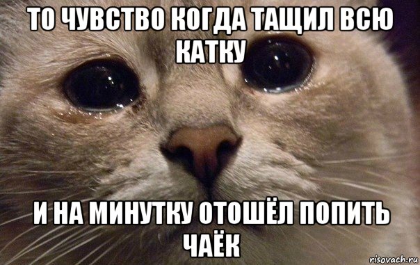 то чувство когда тащил всю катку и на минутку отошёл попить чаёк, Мем   В мире грустит один котик