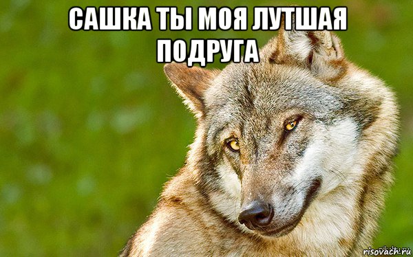 сашка ты моя лутшая подруга , Мем   Volf