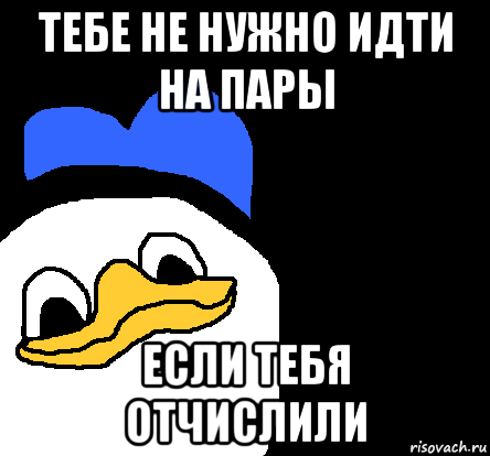 тебе не нужно идти на пары если тебя отчислили, Мем ВСЕ ОЧЕНЬ ПЛОХО