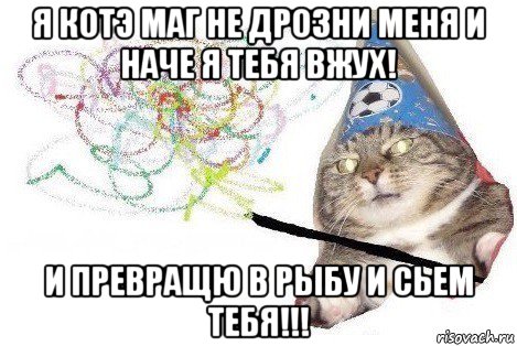 я котэ маг не дрозни меня и наче я тебя вжух! и превращю в рыбу и сьем тебя!!!, Мем Вжух мем