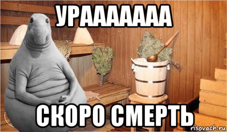 урааааааа скоро смерть, Мем  Ждун в бане