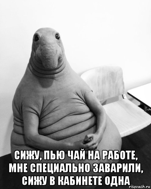  сижу, пью чай на работе, мне специально заварили, сижу в кабинете одна, Мем  Ждун