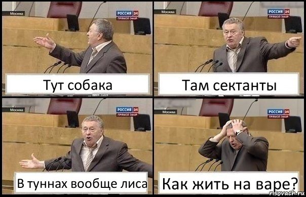 Тут собака Там сектанты В туннах вообще лиса Как жить на варе?