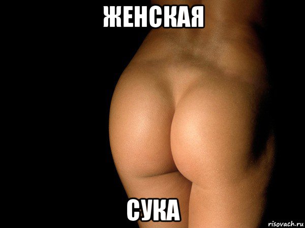 женская сука, Мем жопа