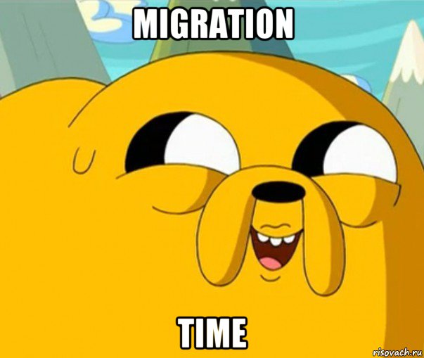 migration time, Мем  Adventure time