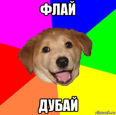 флай дубай, Мем Advice Dog