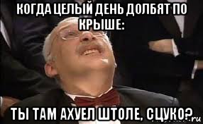 когда целый день долбят по крыше: ты там ахуел штоле, сцуко?, Мем Александр Друзь