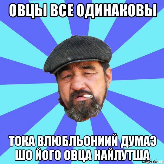 овцы все одинаковы тока влюбльониий думаэ шо його овца найлутша, Мем Бомж флософ