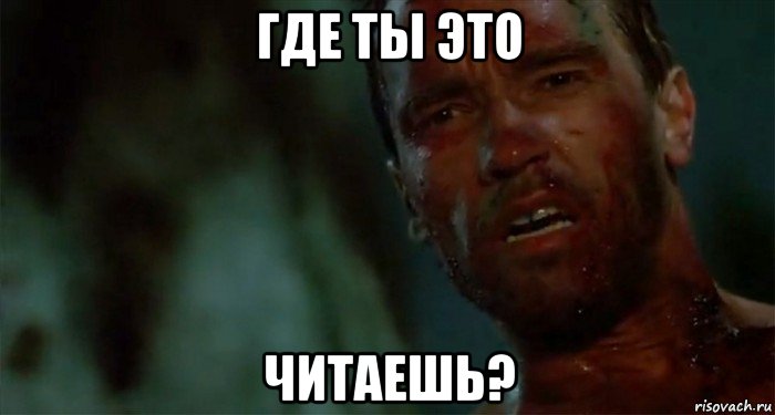 где ты это читаешь?, Мем Что ты такое