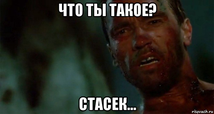 что ты такое? стасек...