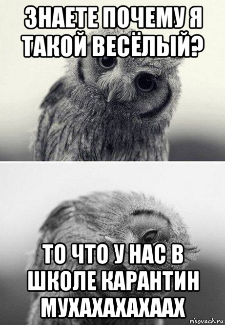 знаете почему я такой весёлый? то что у нас в школе карантин мухахахахаах, Мем дай денюшку