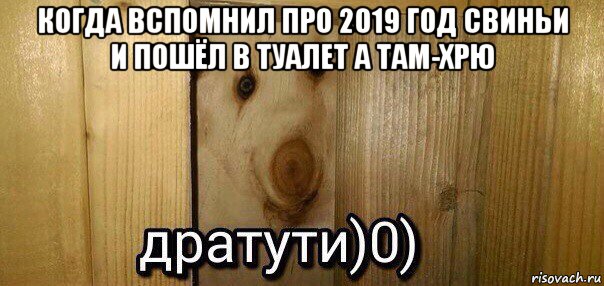 когда вспомнил про 2019 год свиньи и пошёл в туалет а там-хрю , Мем  Дратути