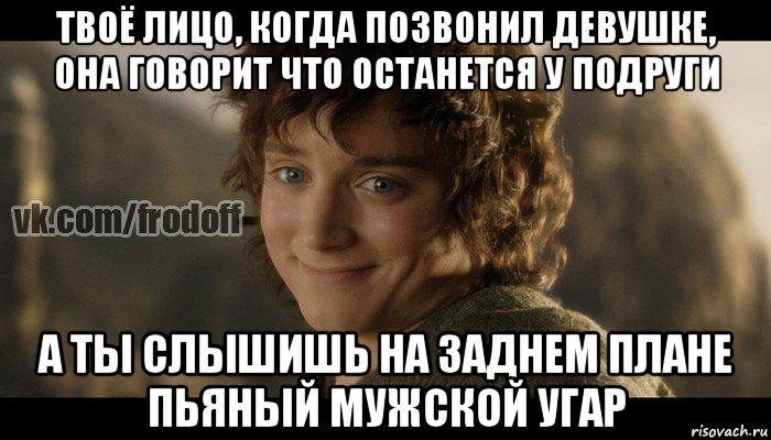 твоё лицо, когда позвонил девушке, она говорит что останется у подруги а ты слышишь на заднем плане пьяный мужской угар, Мем  Фродо