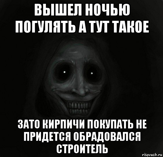 вышел ночью погулять а тут такое зато кирпичи покупать не придется обрадовался строитель, Мем Ночной гость