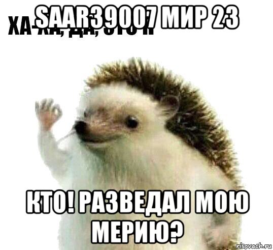 saar39007 мир 23 кто! разведал мою мерию?