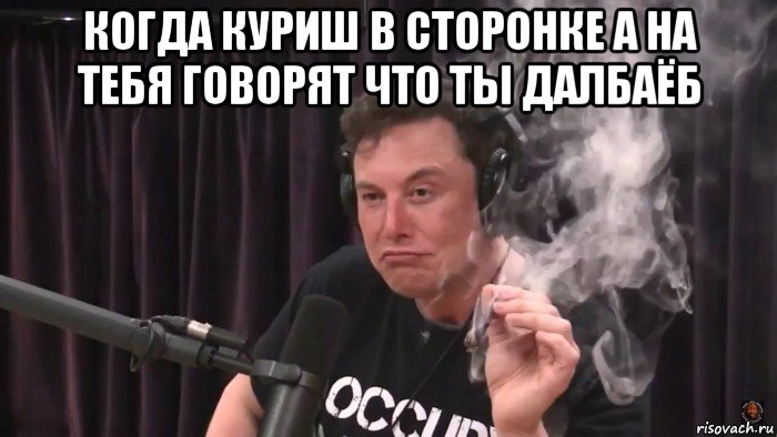 когда куриш в сторонке а на тебя говорят что ты далбаёб , Мем Илон Маск