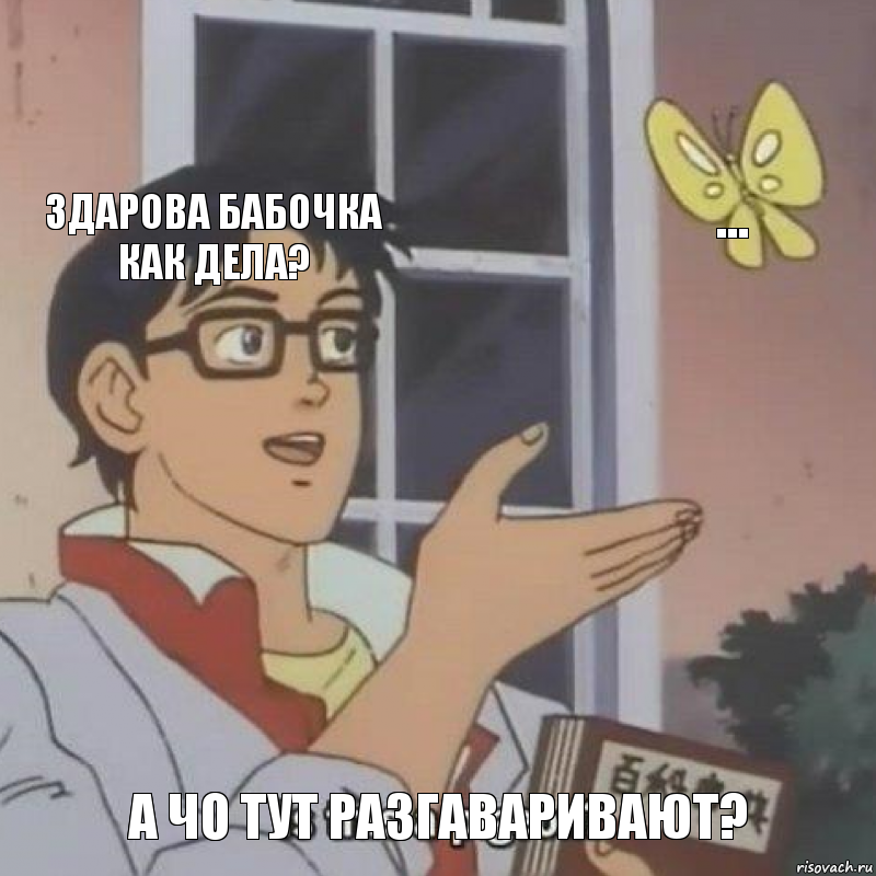 здарова бабочка как дела? ... а чо тут разгаваривают?