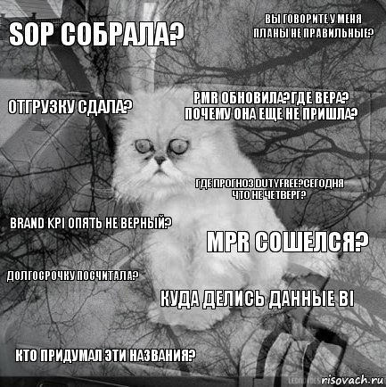 SOP собрала? MPR сошелся? PMR обновила?Где Вера? Почему она еще не пришла? Кто придумал эти названия? Brand KPI опять не верный? Вы говорите у меня планы не правильные? Куда делись данные BI Отгрузку сдала? Долгосрочку посчитала? Где прогноз DutyFree?сегодня что не четверг?, Комикс  кот безысходность