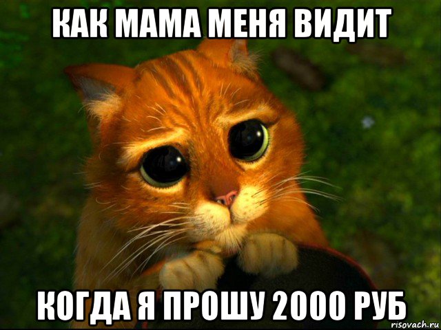 как мама меня видит когда я прошу 2000 руб