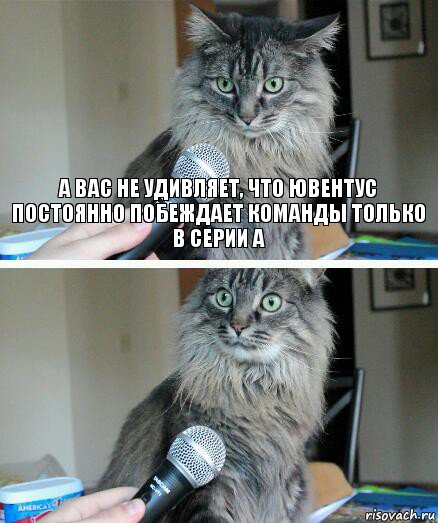 А вас не удивляет, что ювентус постоянно побеждает команды только в серии А , Комикс  кот с микрофоном