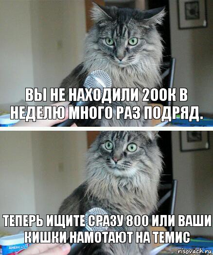 вы не находили 200к в неделю много раз подряд. теперь ищите сразу 800 или ваши кишки намотают на Темис, Комикс  кот с микрофоном