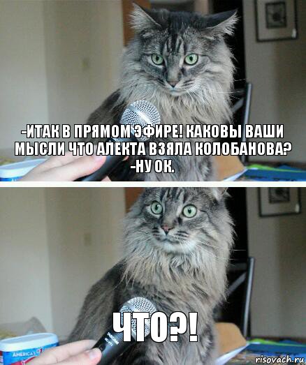 -Итак в прямом эфире! Каковы ваши мысли что алекта взяла Колобанова?
-Ну ок. ЧТО?!, Комикс  кот с микрофоном